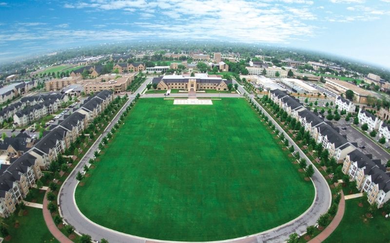 McFarlin Library and TU Flowers